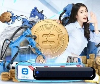 b体育 APP 界面